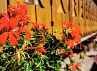 IMG_20200630_190426_334
